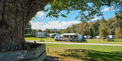 Campingplätze - Zentraler Stromanschluss - Camping Aichalehof