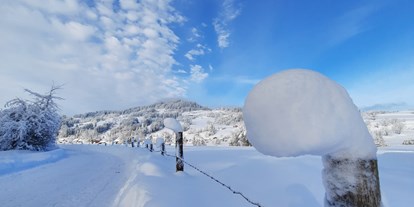 Campingplätze - Zentraler Stromanschluss - Verschneite Aussichten. Die Einfahrt zum Campingplatz mit Aussicht auf den Stoffelberg.  - Camping Zeh am See/ Allgäu