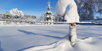 Campingplätze - Baden in natürlichen Gewässern - Unsere verschneite Zeltwiese im Winter.  - Camping Zeh am See/ Allgäu