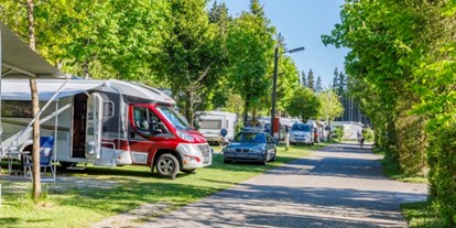 Campingplätze - Waschmaschinen - Campingplatz Elbsee