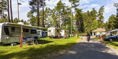 Campingplätze - Wintercamping - Für Wohnmobile, Wohnwagen, Campingbusse und Zelte bieten wir Komfort- und Standardstellplätze an. - Camping Waldsee 