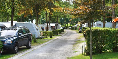 Campingplätze - Thermalbad - Ostbayern - Unsere geräumigen Standard-Standplätze auf unserer Anlage. - Kur- & Feriencamping Holmernhof Dreiquellenbad