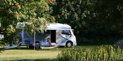Campingplätze - Bademöglichkeit für Hunde - Fichtelberg - Campingplatz Fichtelsee