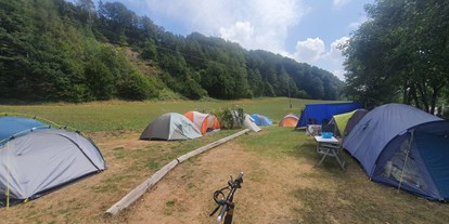Campingplätze - Grillen mit Holzkohle möglich - Zeltwiese - Campingplatz am Marktler Badesee